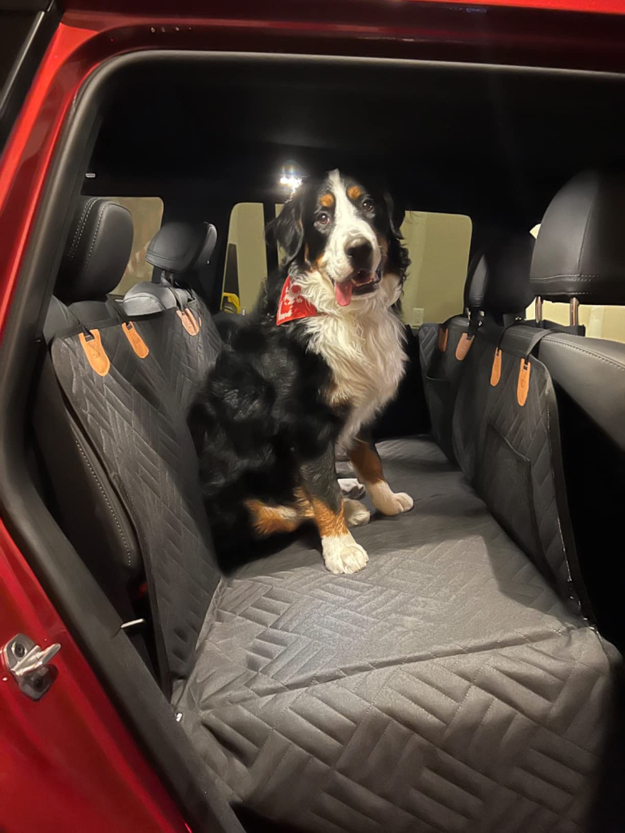 The-Alpaca Dog Seat Cover 4.0