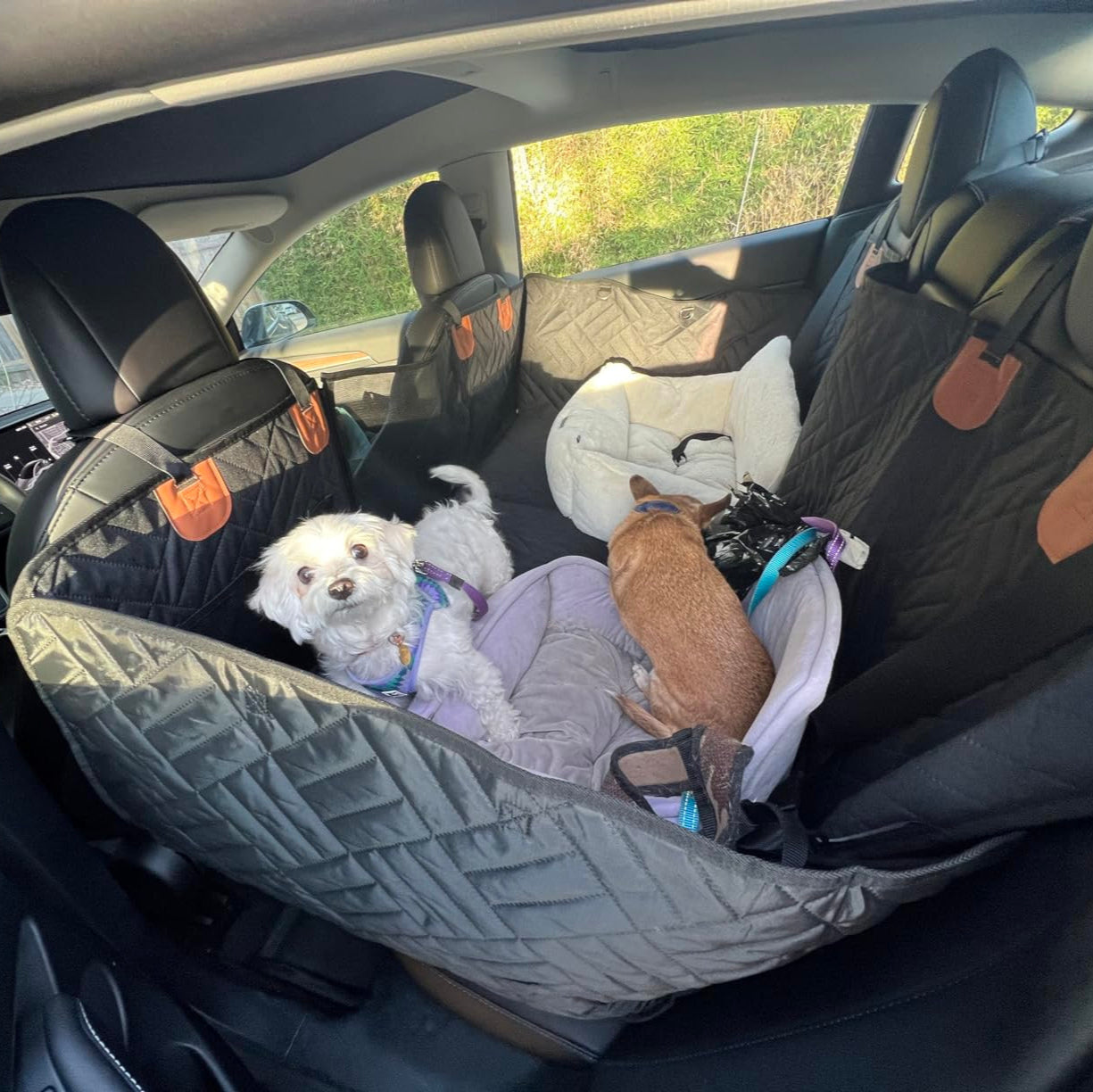 The-Alpaca Dog Seat Cover 4.0