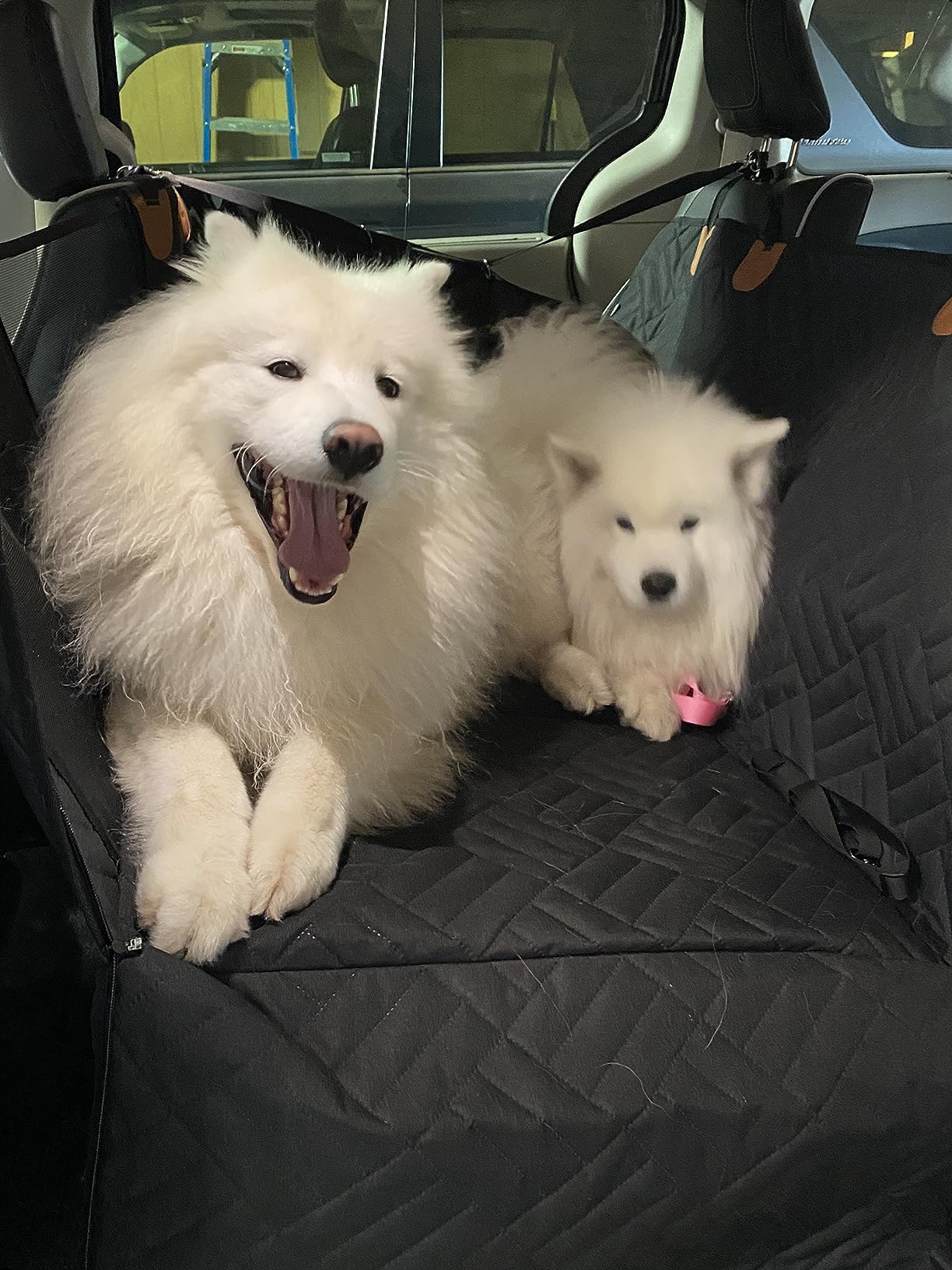 The-Alpaca Dog Seat Cover 4.0