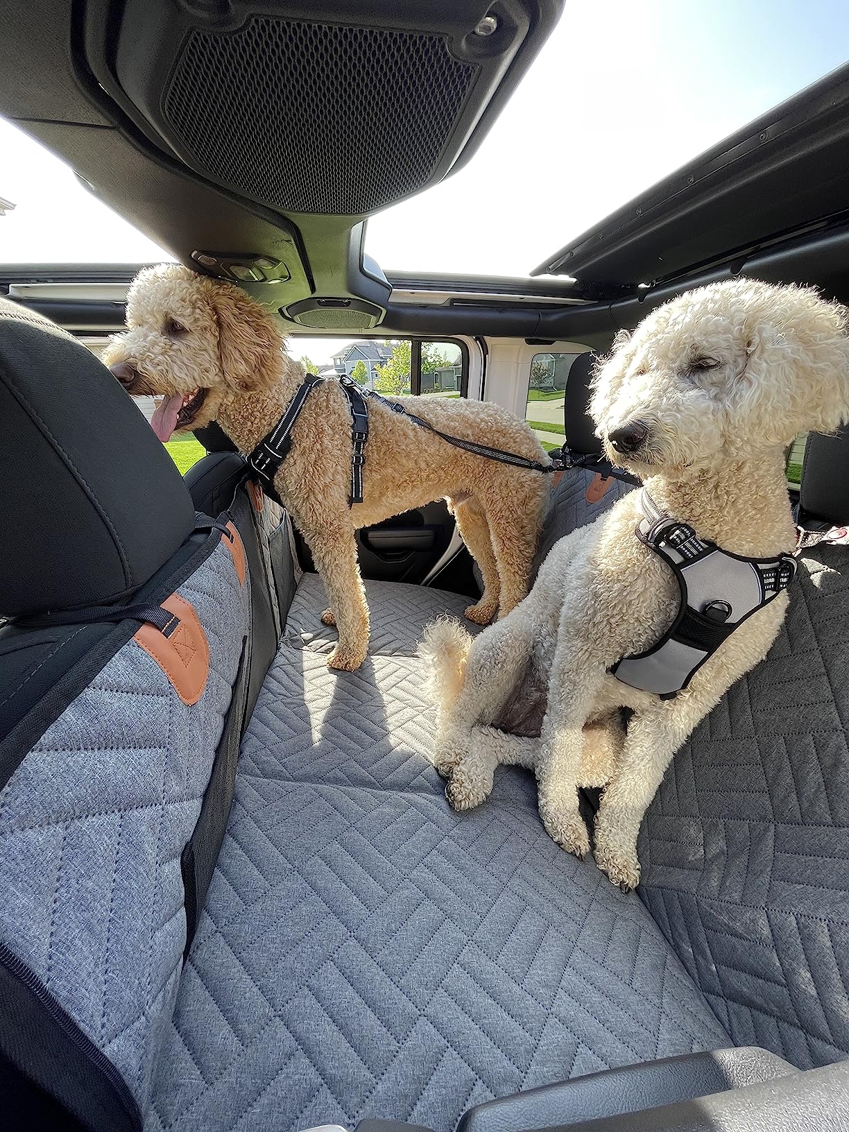 The-Alpaca Dog Seat Cover 4.0