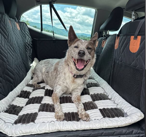 The-Alpaca Dog Seat Cover 4.0