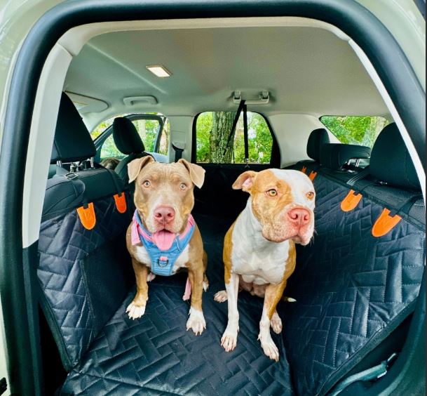 The-Alpaca Dog Seat Cover 4.0